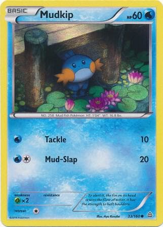 Mudkip Sheen Holo 033 Normal