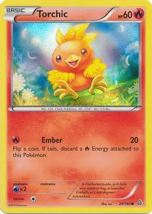 Torchic Holo Promo 25
