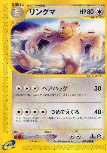 Ursaring 67