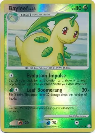 Bayleef Reverse Holo 41 Normal