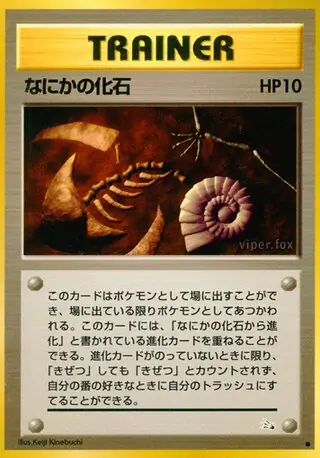 Mysterious Fossil Normal