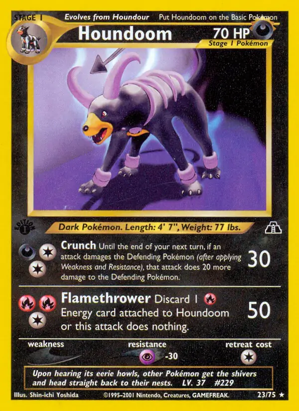 Houndoom 23