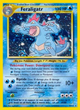 Feraligatr Holo
