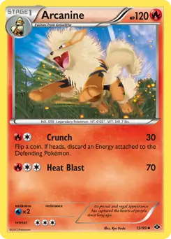 Arcanine 13 Normal