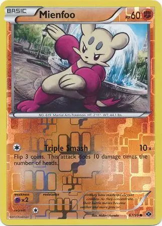 Mienfoo Reverse Holo 67