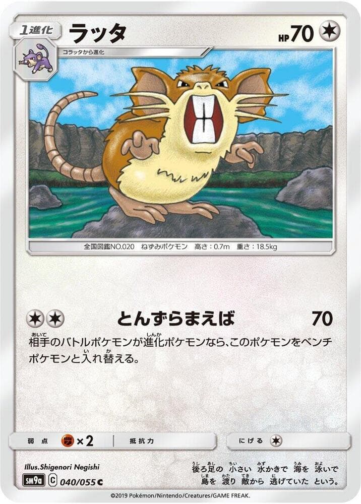 Raticate 040 Normal