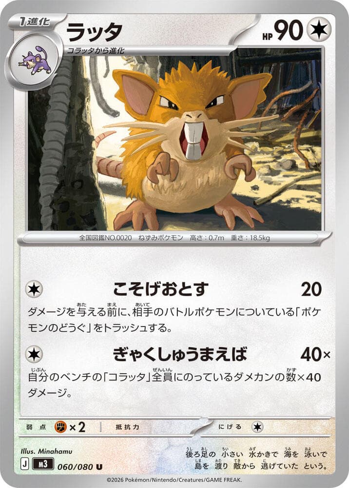 Raticate 060