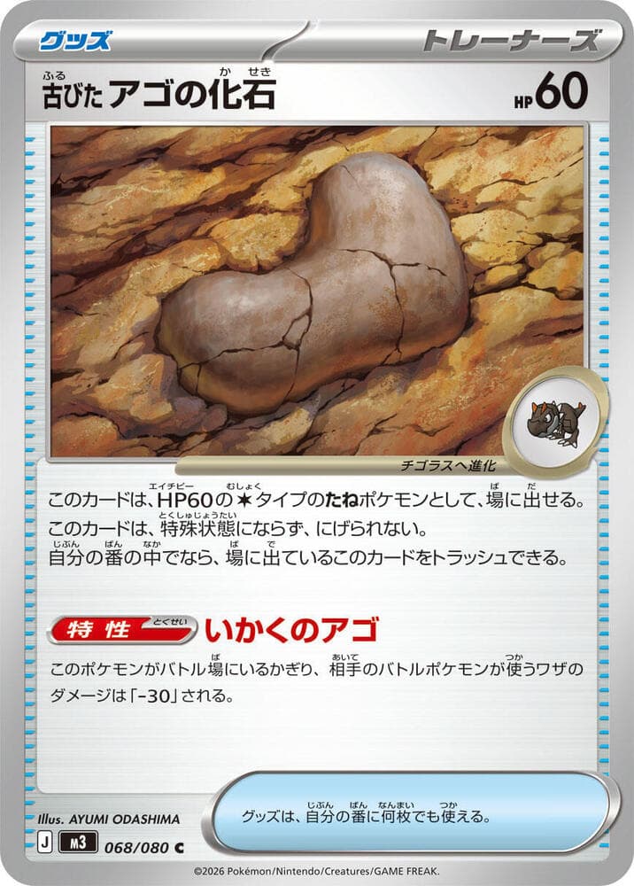 Antique Jaw Fossil 068