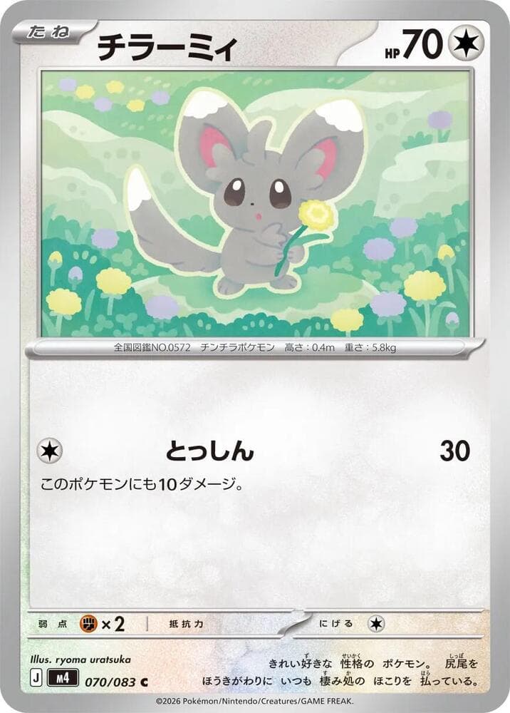 Minccino 070