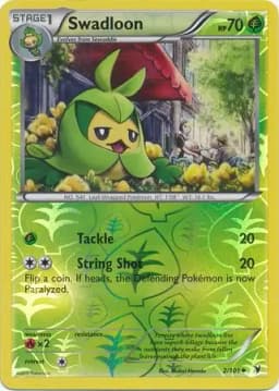 Swadloon Reverse Holo