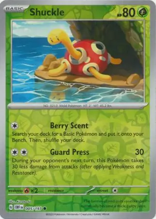 Shuckle Reverse Holo 005 Normal