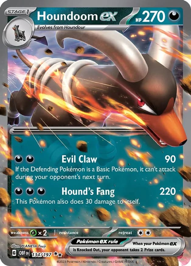 Houndoom ex 134