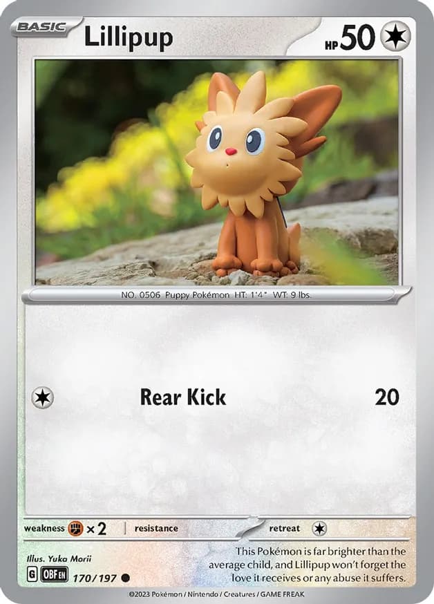 Lillipup 170 Normal