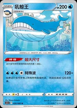 Wailord 020