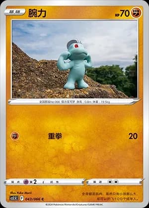 Machop 043