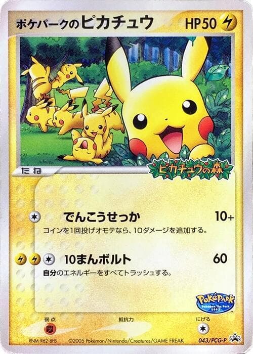 PokePark's Pikachu 043
