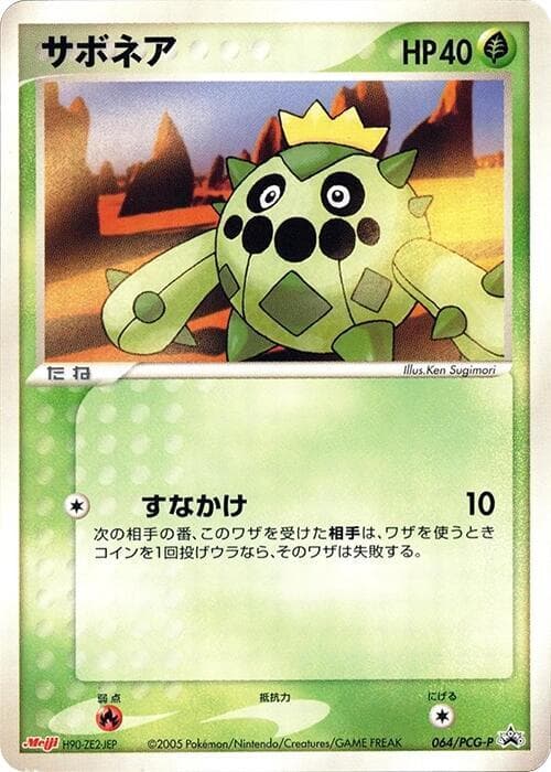 Cacnea 064