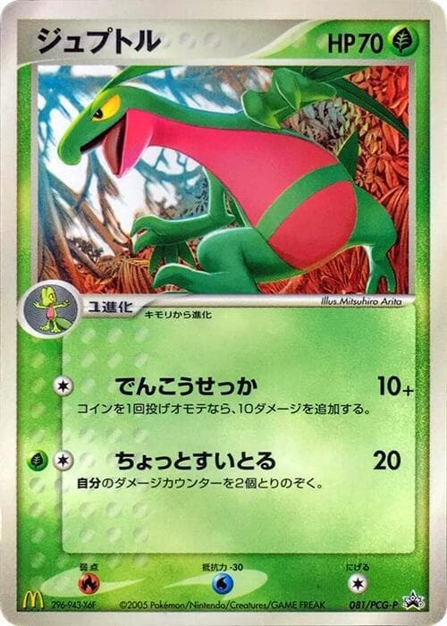Grovyle 081