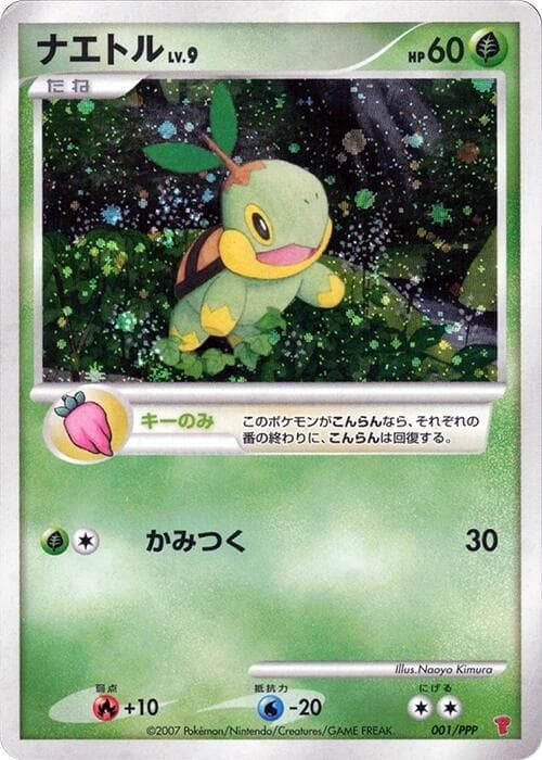 Turtwig 001