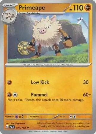 Primeape 107