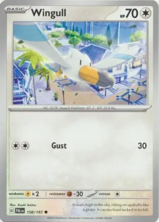 Wingull 158