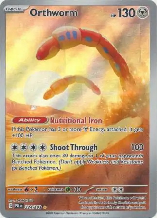 Orthworm 224 Normal