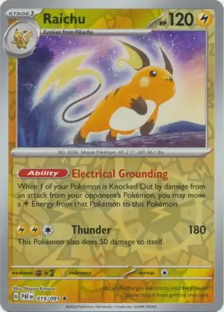Raichu Reverse Holo 019 Normal