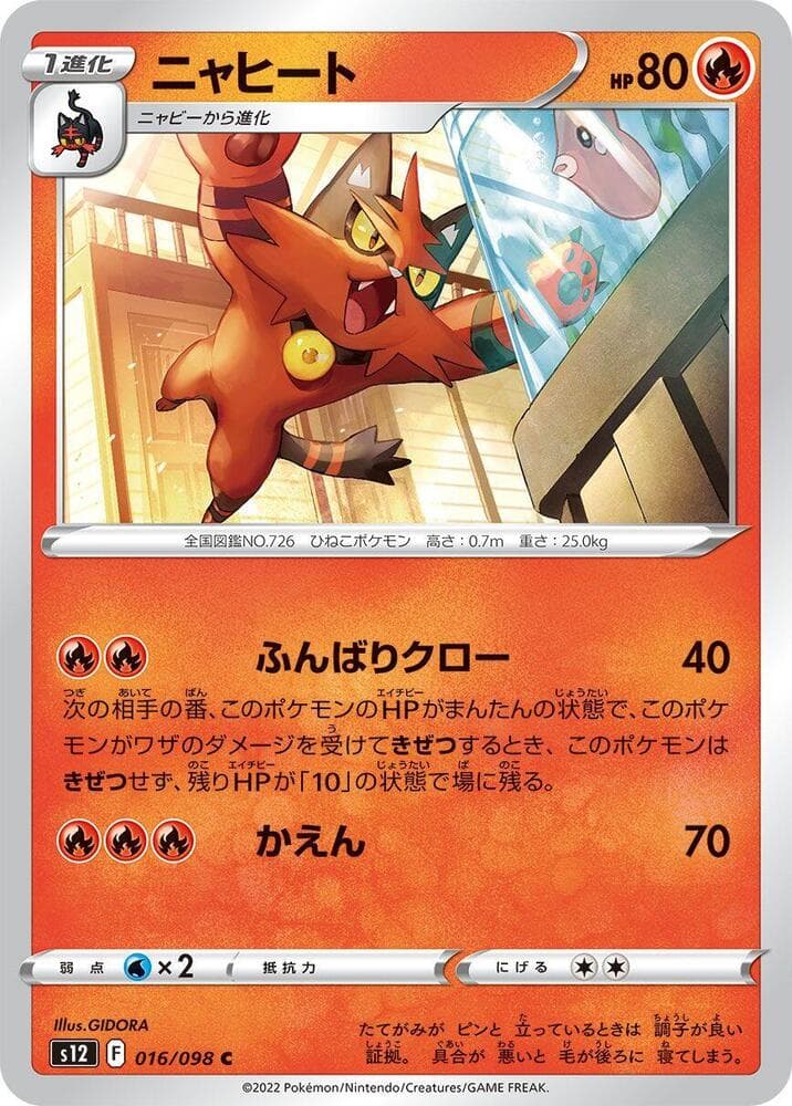 Torracat 016