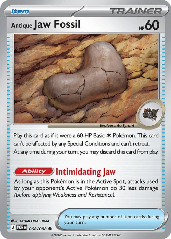 Antique Jaw Fossil 68