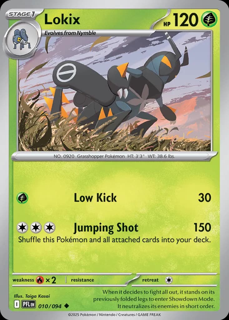 Lokix 010