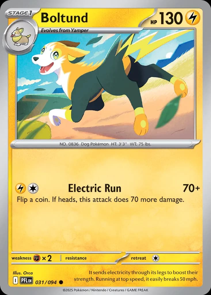 Boltund 031