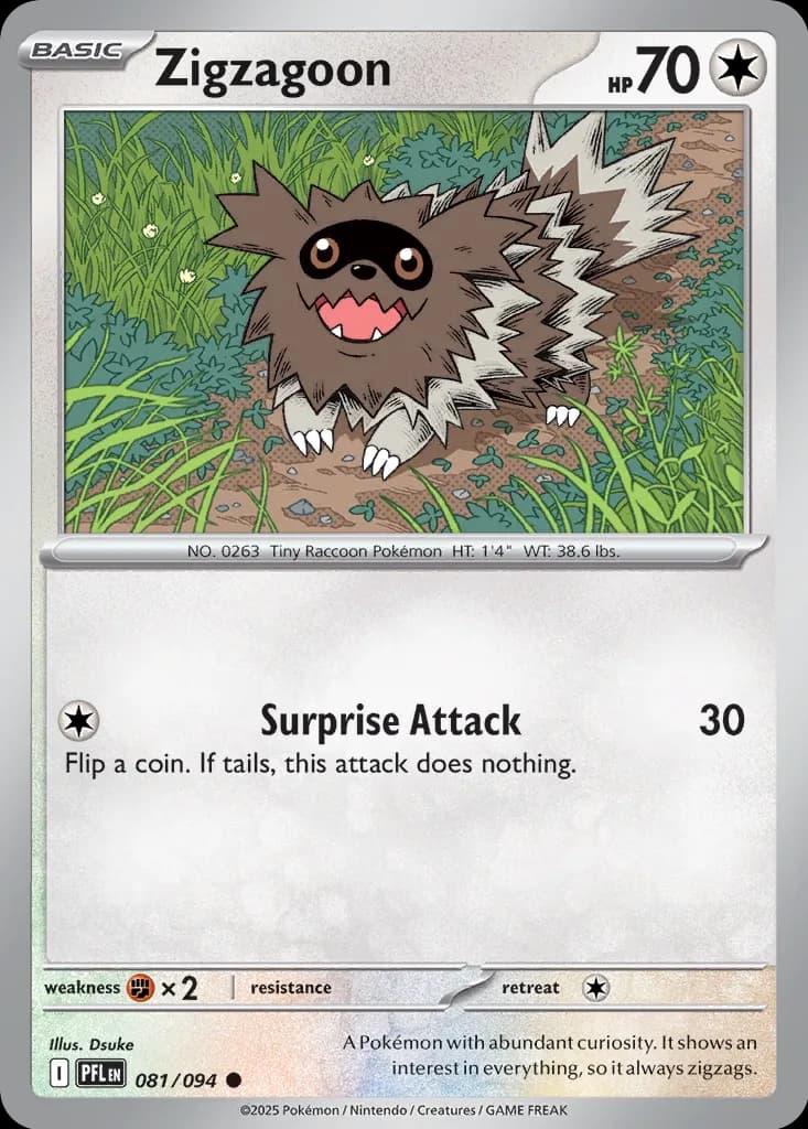 Zigzagoon 081