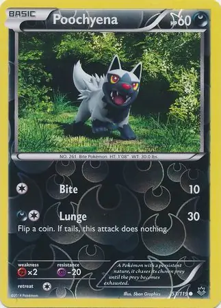 Poochyena Reverse Holo 53 Normal