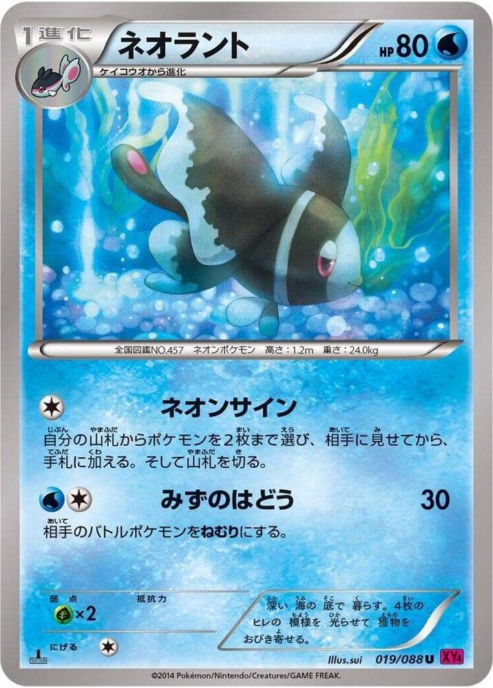 Lumineon 019 1st Edition