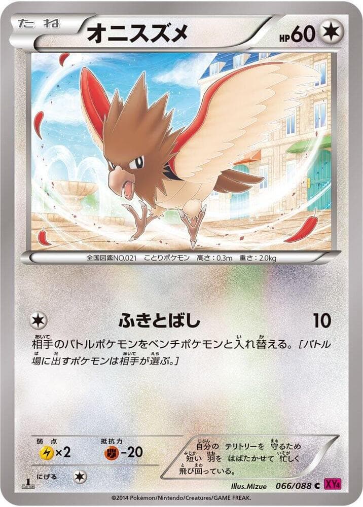 Spearow 066