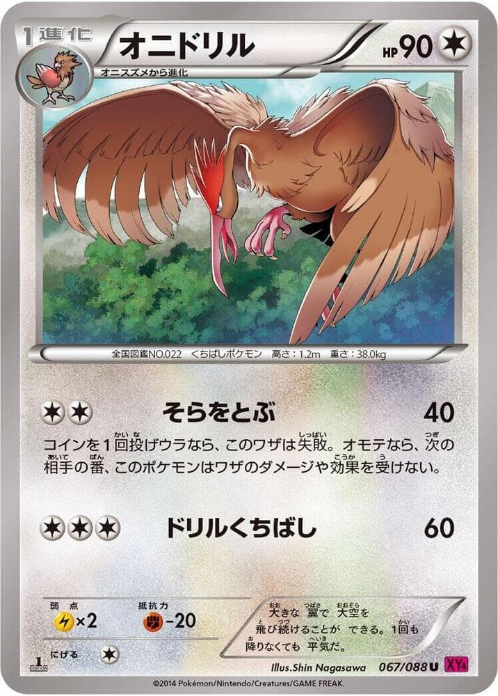 Fearow 067 1st Edition