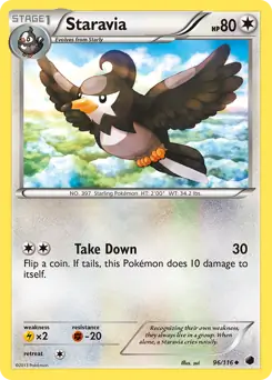 Staravia 96 Normal