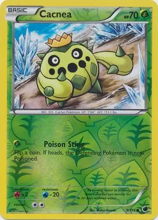 Cacnea Reverse Holo 9 Normal