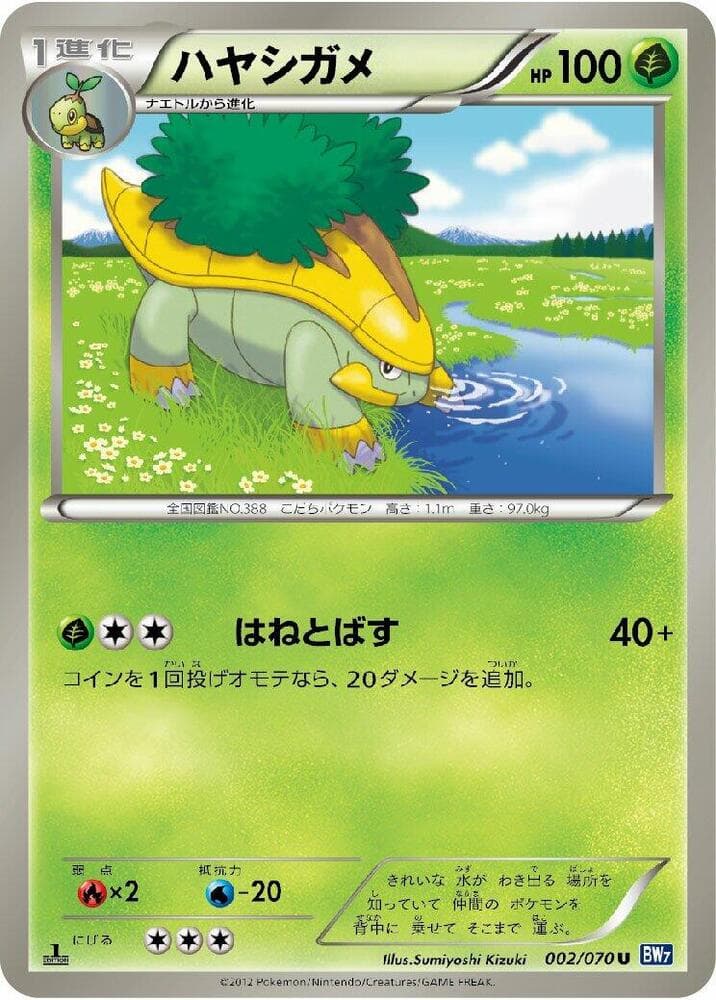 Grotle 002