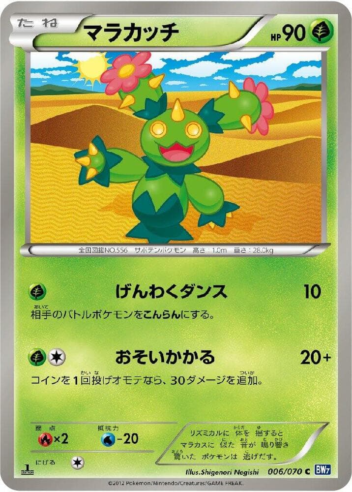Maractus 006