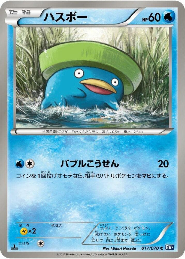 Lotad 017