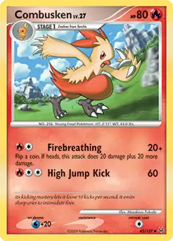 Combusken 45