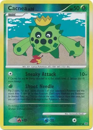 Cacnea Reverse Holo 67