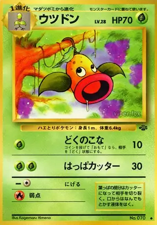 Weepinbell 070
