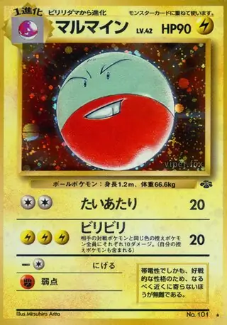 Electrode 101