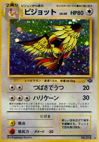 Pidgeot 018