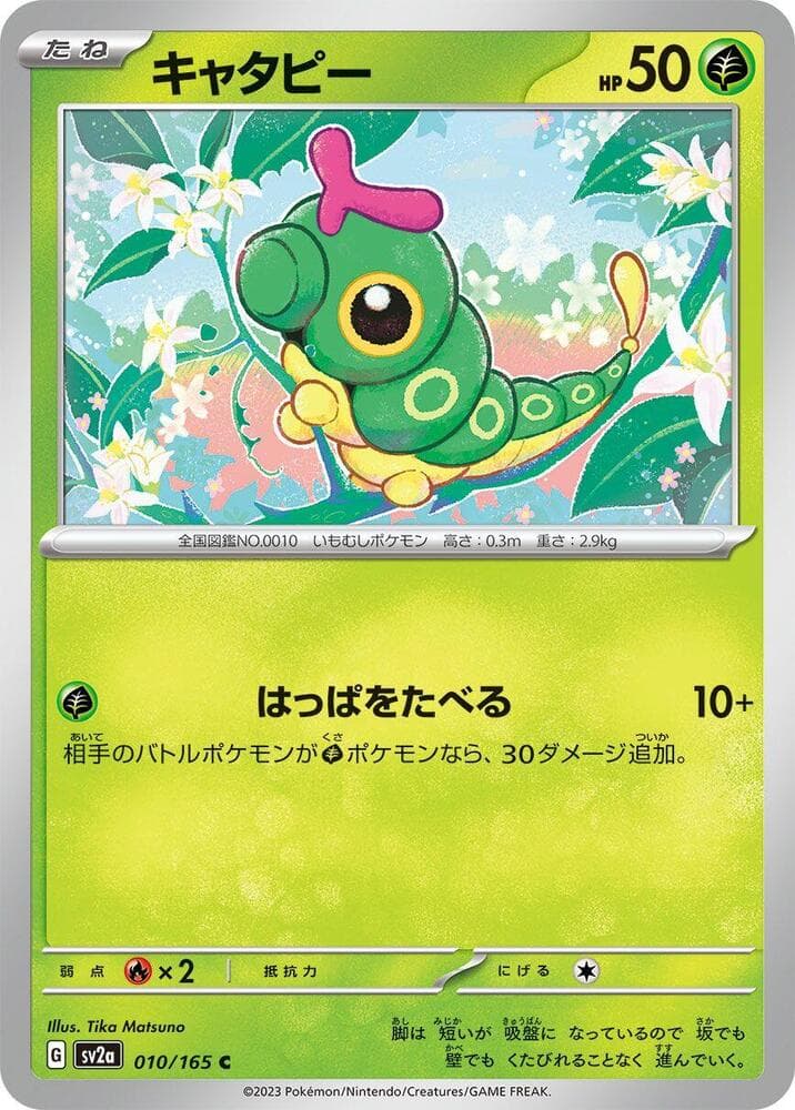 Caterpie 010 Normal