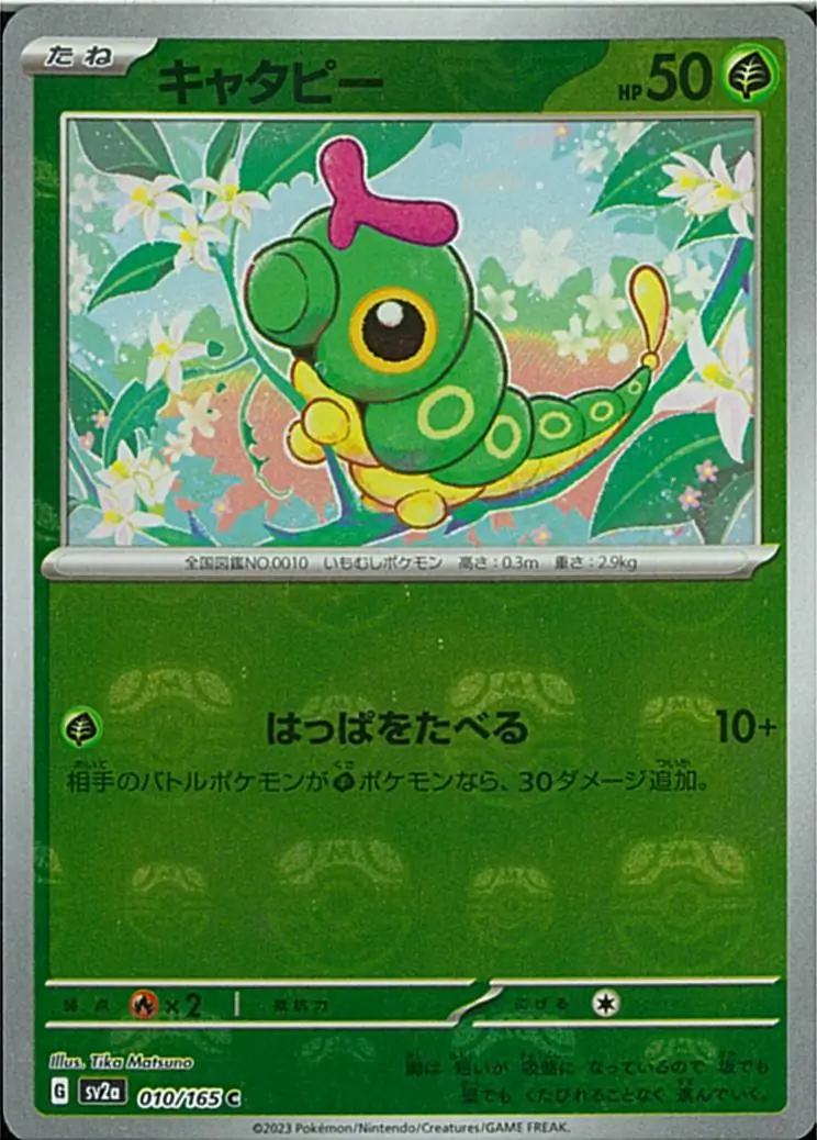Caterpie Master Ball Holo 010 Normal