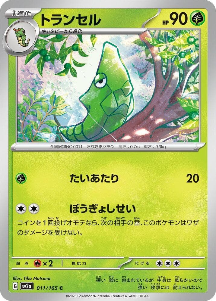 Metapod 011