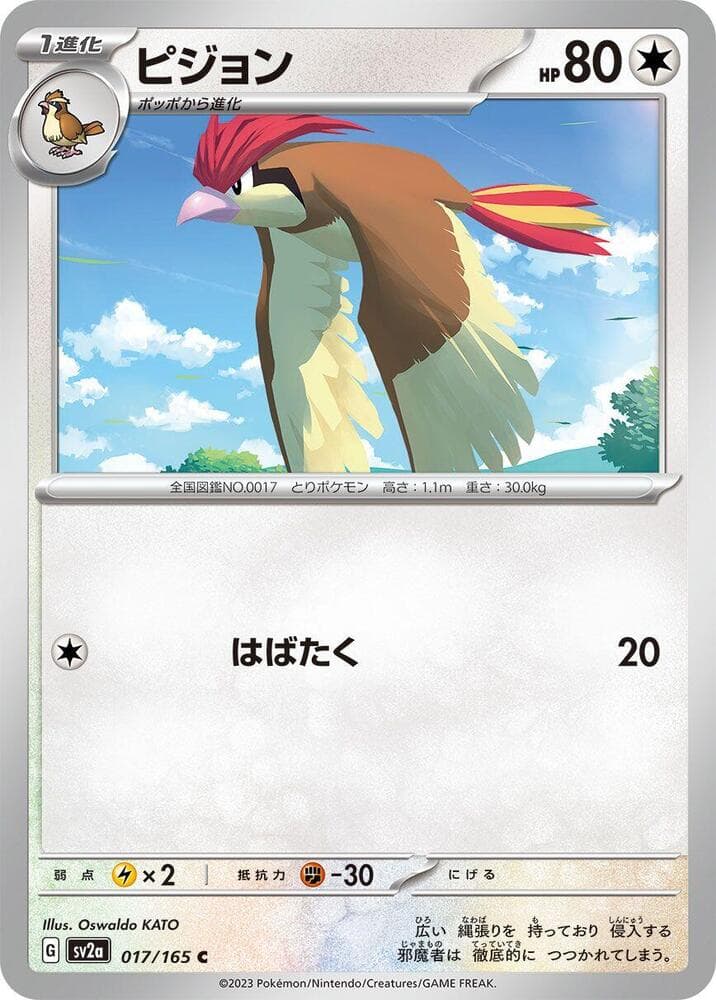 Pidgeotto 017 Normal